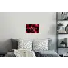 Granaatappel - Rood - Fruit Muursticker klein -slaapkamer