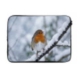 Roodborstje - Tak - Sneeuw - Winter - Levendig laptophoes neopreen klein -3d