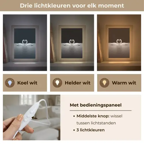 Zwanen - Hart - Zwart - Wit Light Box met kabel (Tafellamp) klein -USP_lichtkleurNL