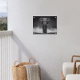 Olifant - Zwart - Wit - Rook tuinposter los doek klein -sfeer8