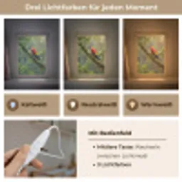 Ara - Jungle - Rood Light Box met kabel (Kinderlampje) klein -USP_lichtkleurDE