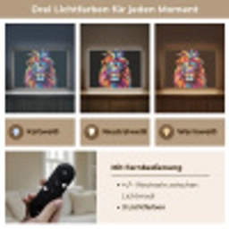 Leeuwen - Kleurrijk - Zwart - Dieren Light Box met batterij (Wandlamp kind) middel -USP_lichtkleurDE