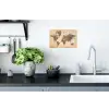 Wereldkaart - Beige - Bruin Muursticker klein -keuken