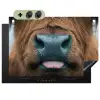 Schotse hooglander - Neus - Bruin Inductie beschemer met haakjes klein -3d
