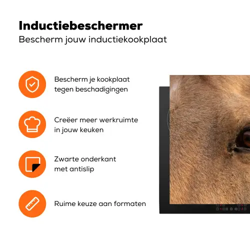 Paard - Oog - Bruin Inductie beschermer vinyl 3mm klein -zzzzzzz-td-ups