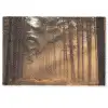 Bos - Mist - Zonlicht Deurmat klein -zkaufland3d