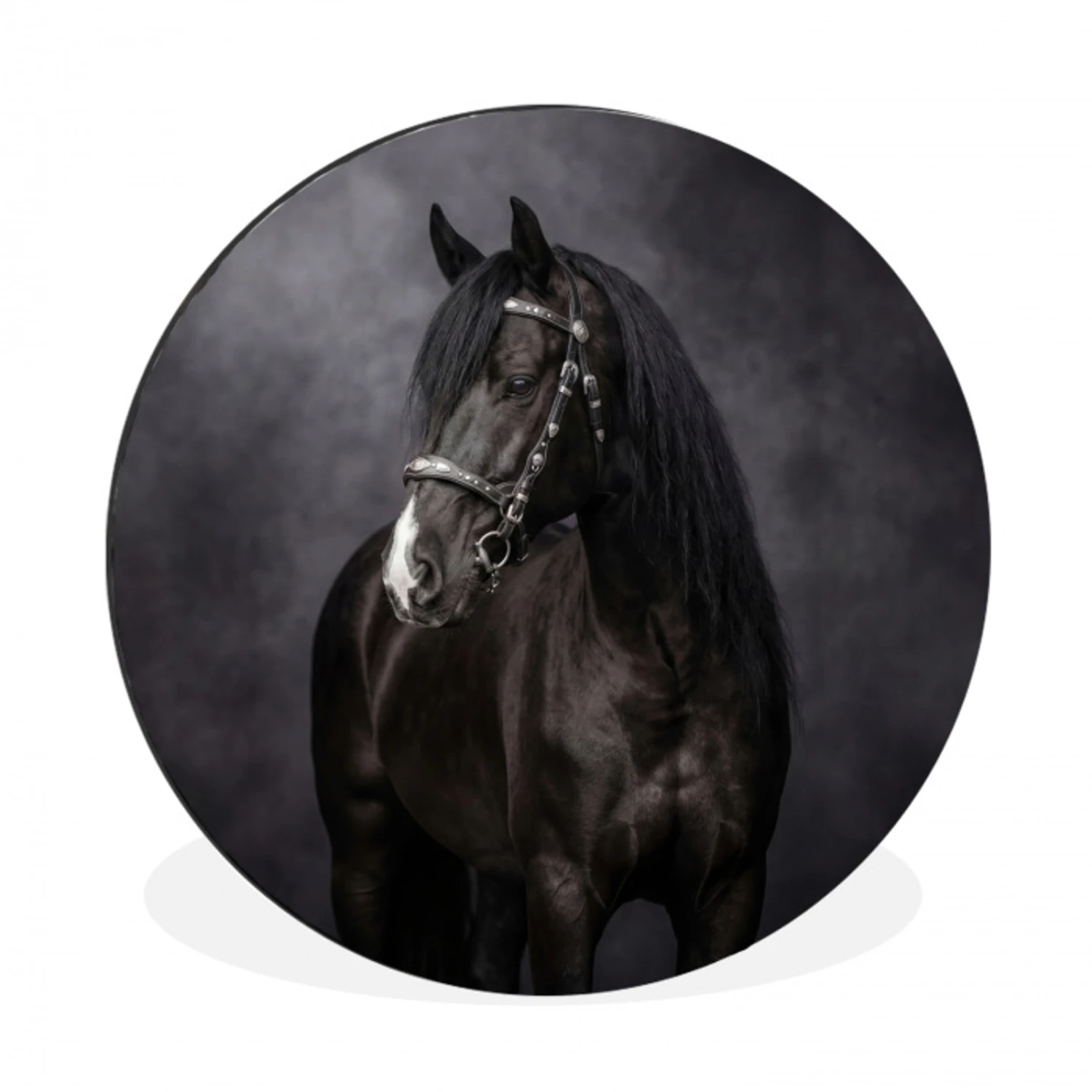 Portret - Paard - Zwart Wandcirkel aluminium klein -3d