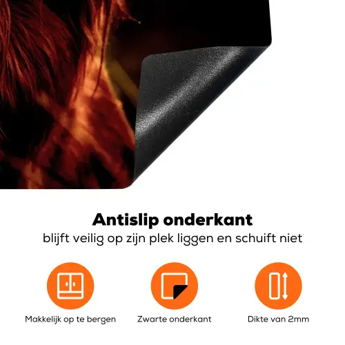 Vurige Blik Inductie beschermer vinyl 3mm klein -zzzzzzz-td-onderkant