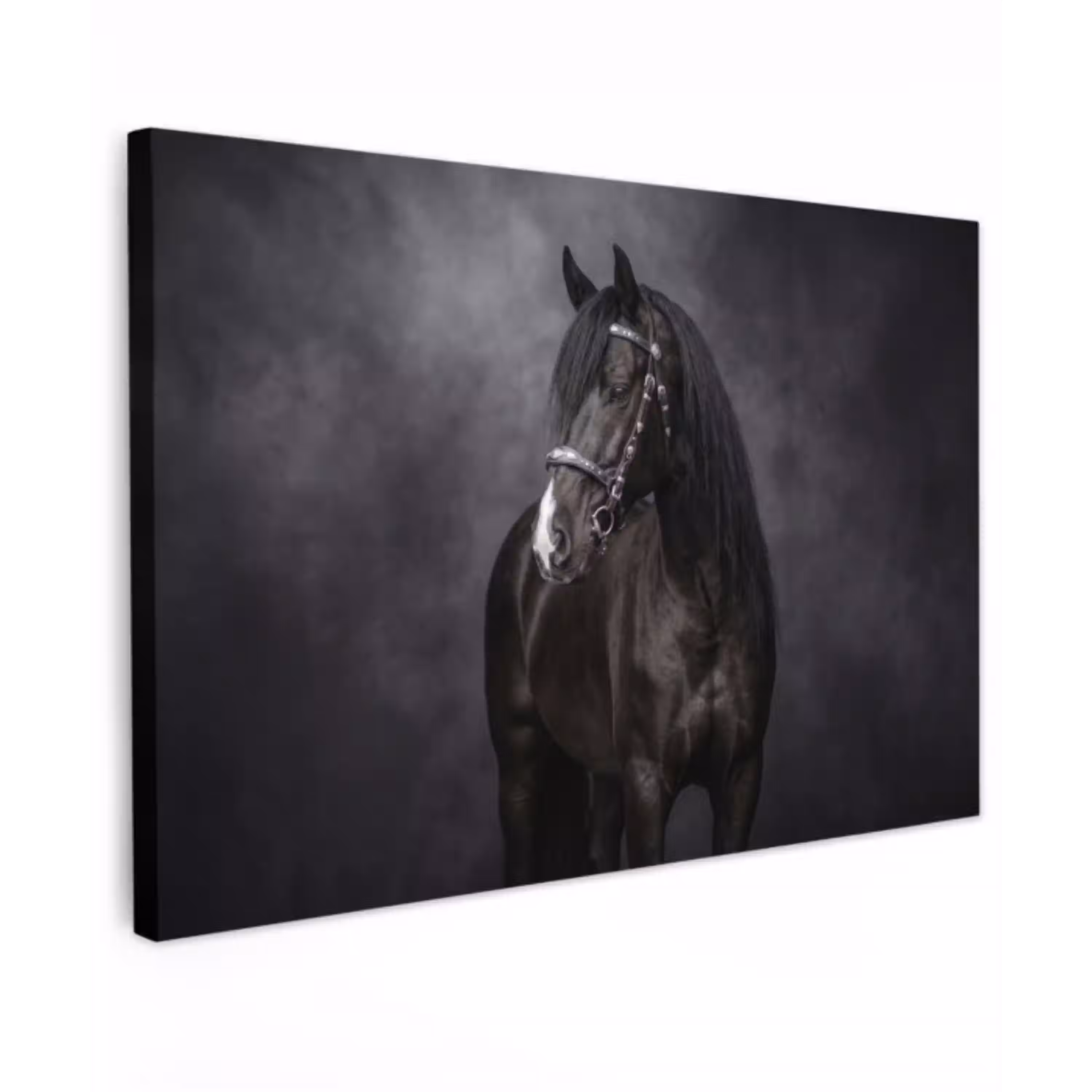 Portret - Paard - Zwart Tuinposter op houten frame 2 cm dik klein -3d