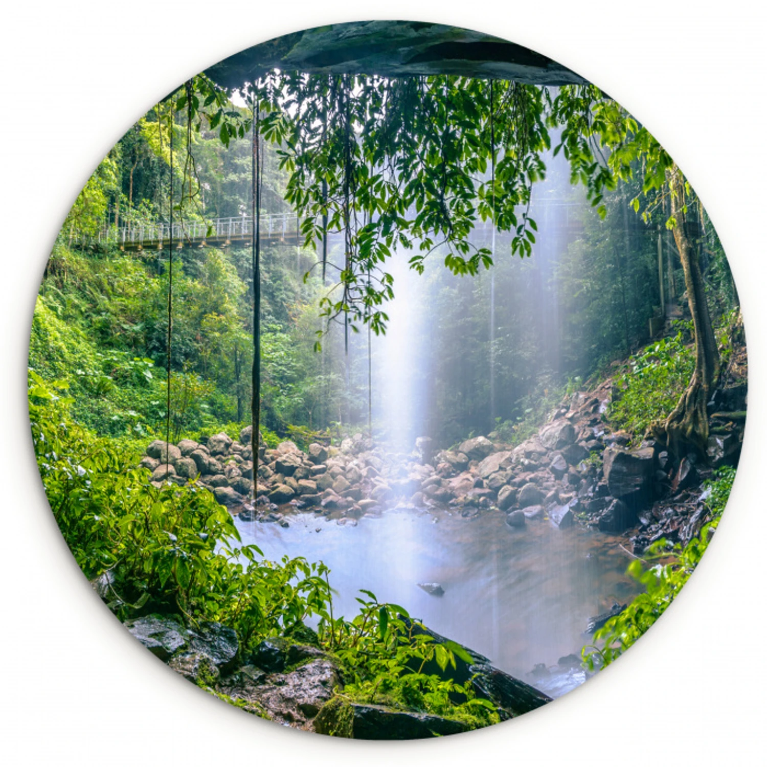 Jungle - Regenwoud - Water - Waterval - Planten Wandcirkel kunststof plaat 5mm dik klein -3d