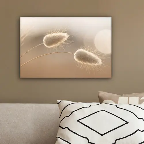 Hazestaartgras - Graanharen - Zonlicht canvas 2cm klein -sfeer3