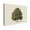 Eikenboom - Groen - Lichte achtergrond canvas 2cm klein -z3d