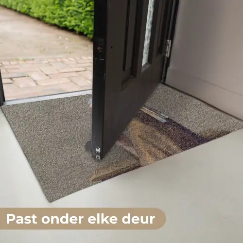 Klassiek - Humor - Kleurrijk Deurmat klein -USP_NL