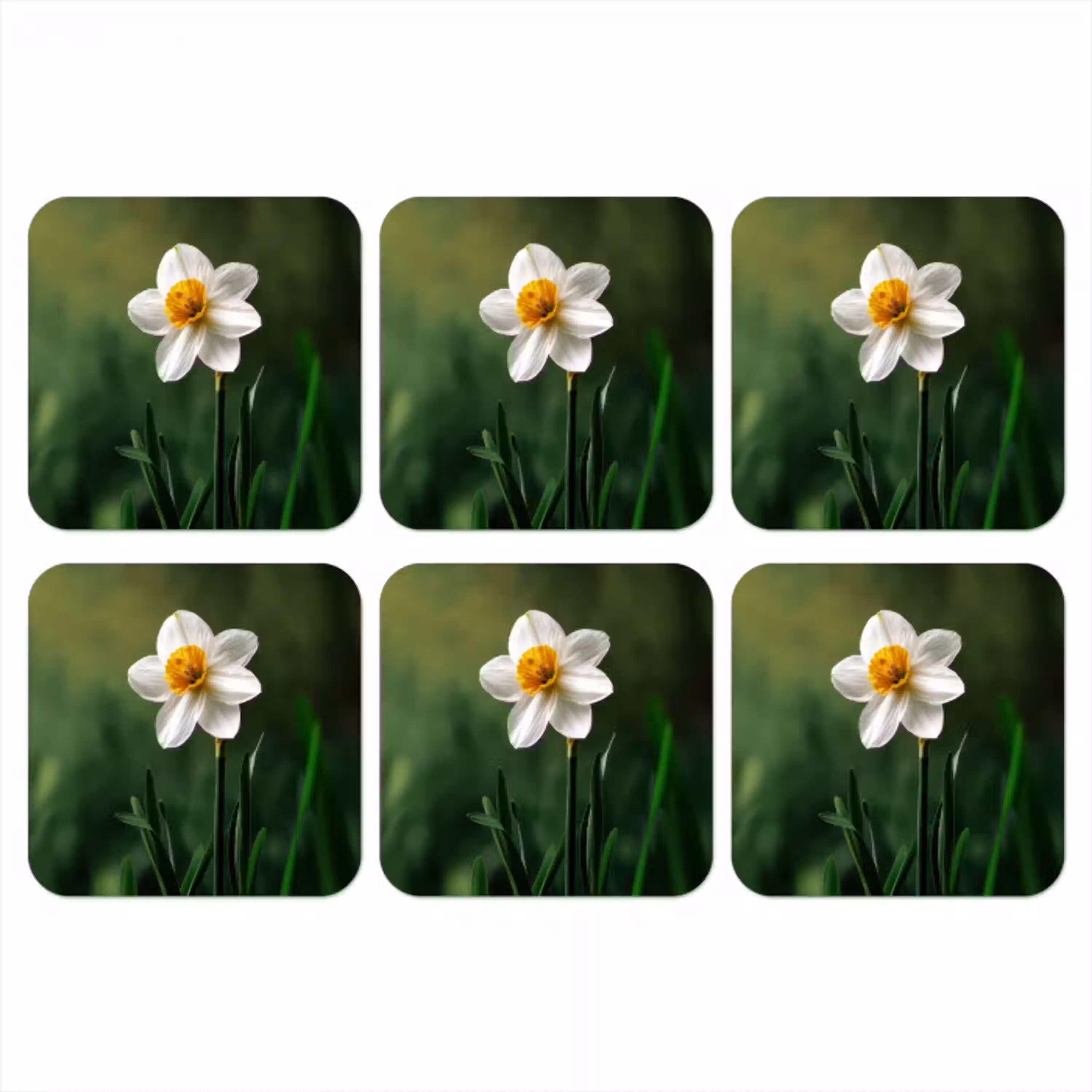 Narcis - Bloem - Wit - Grassprieten onderzetter kurk middel -3d