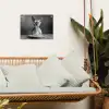 Sphynx - Kat - Dieren - Humor - Spaghetti - Zwart Wit tuinposter los doek klein -sfeer7