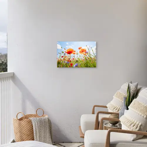 Bloemen - Klaproos - Lente - Natuur - Rood - Blauw Tuinposter op houten frame 2 cm dik klein -sfeer1