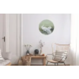 Pauwen - Wit - Natuur - Groen Wandcirkel aluminium klein -woonkamer
