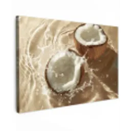 Kokosnoot - Water - Beige - Spetters Tuinposter op houten frame 2 cm dik klein -3d