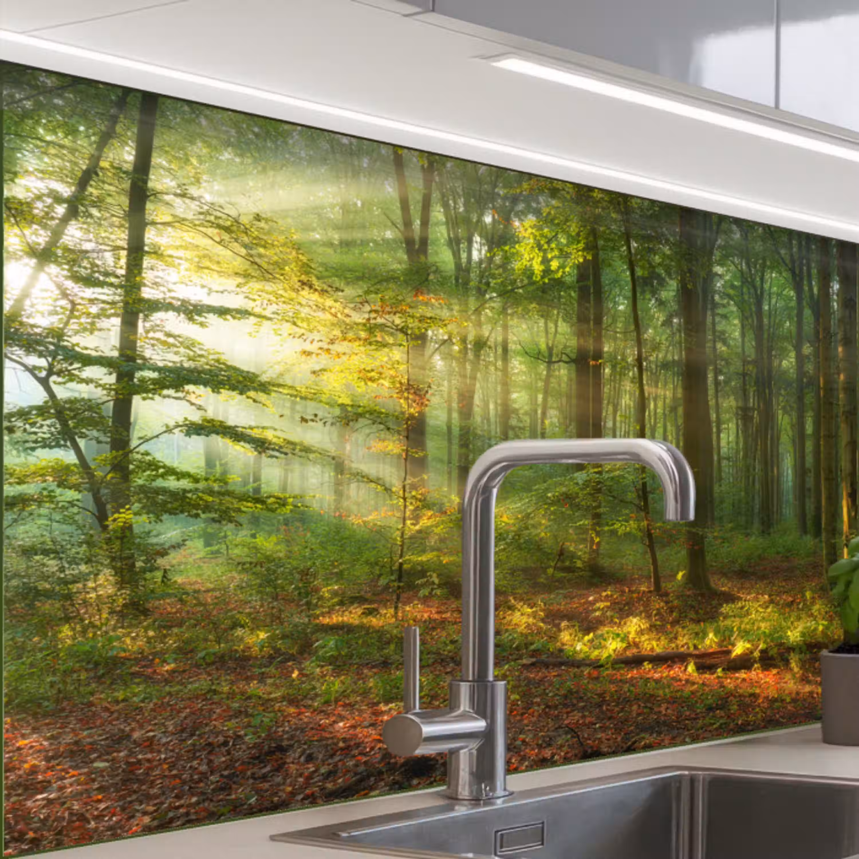 Zon - Bos - Bomen - Natuur - Herfst keuken achterwand 2 middel -zzzz3d_schuin
