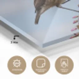 Roodborsttapuit - Heide - Paars - Natuur - Sfeervol plexiglas 5mm klein -wsfeer2_DE
