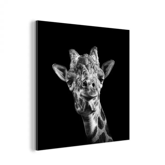 Giraffe - Dier - Zwart - Wit aluminium wit klein -3d
