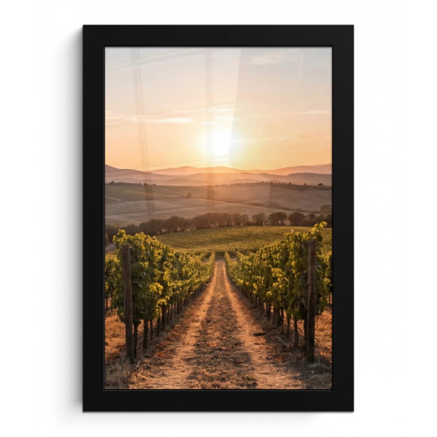 Wijngaard - Zonsondergang - Landschap fotolijst zwart zonder passe partout klein -3d