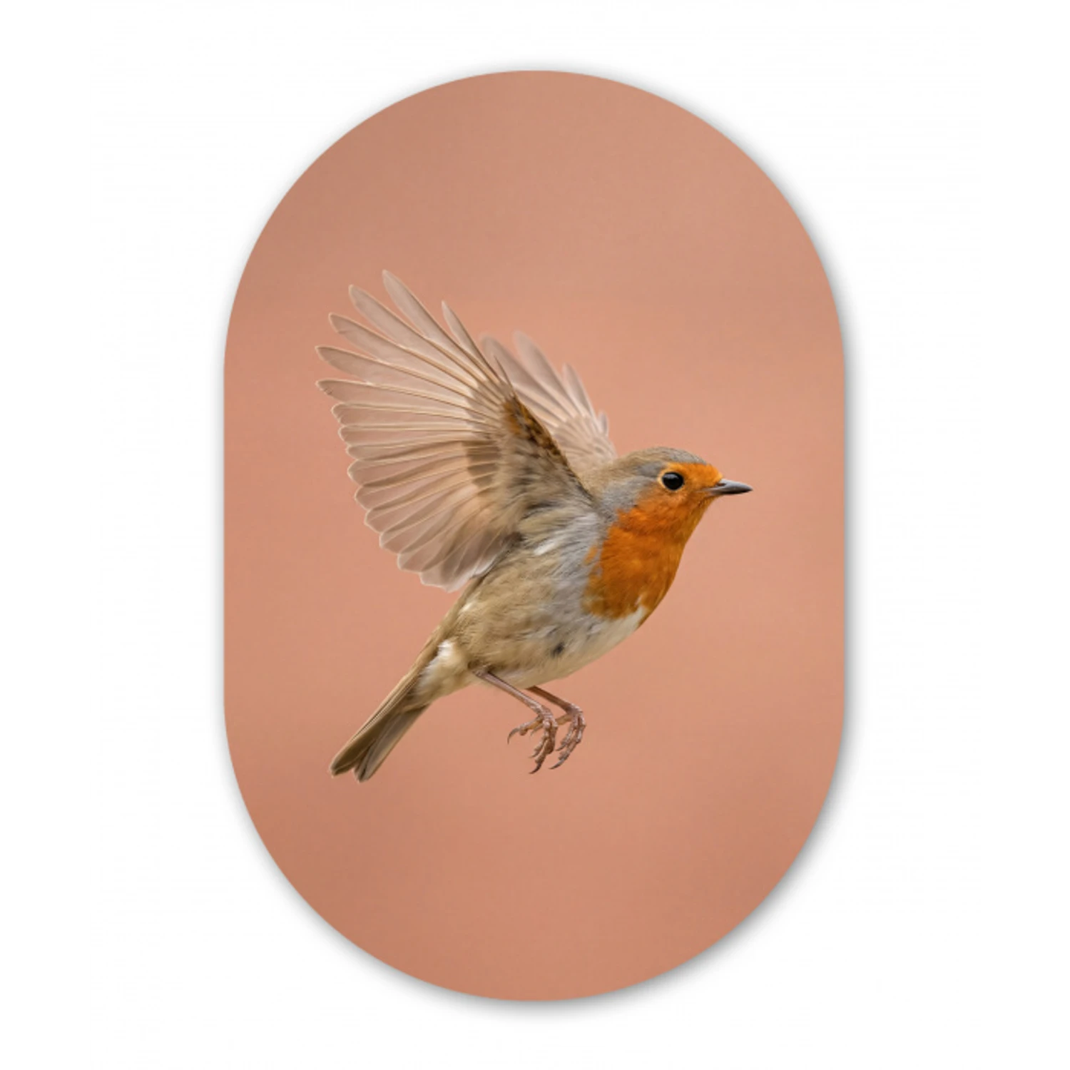 Roodborst - Natuur - Roze Wandcirkel Ovaal Aluminium middel -3d