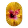 Geel - Hibiscus - Tropisch Wandcirkel Ovaal Forex klein -3d