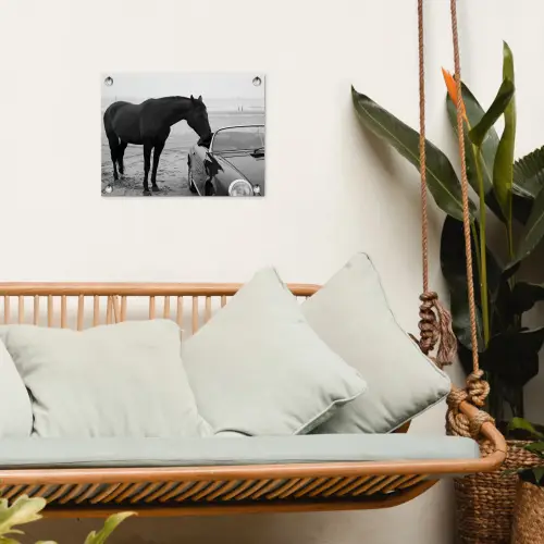 Paard - Auto - Zwart - Wit tuinposter los doek klein -sfeer7
