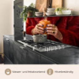 Broodje - Bontjas - Goud keuken achterwand 2 middel -usp_DE