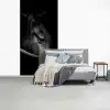 Paarden - Portret - Zwart - Dieren fotobehang vinyl groot -slaapkamer