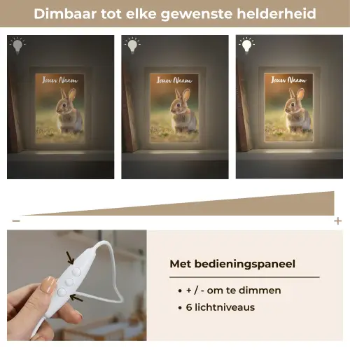 Konijntje - Bruin - Gras Light Box met kabel (Kinderlampje) klein -USP_dimbaarNL