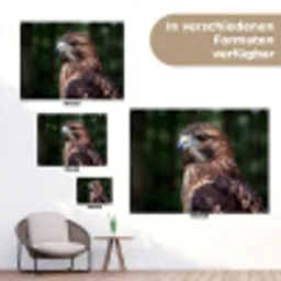 Buizerd - Roofvogel - Natuur - Bruin tuinposter los doek klein -Xsfeer9_DE