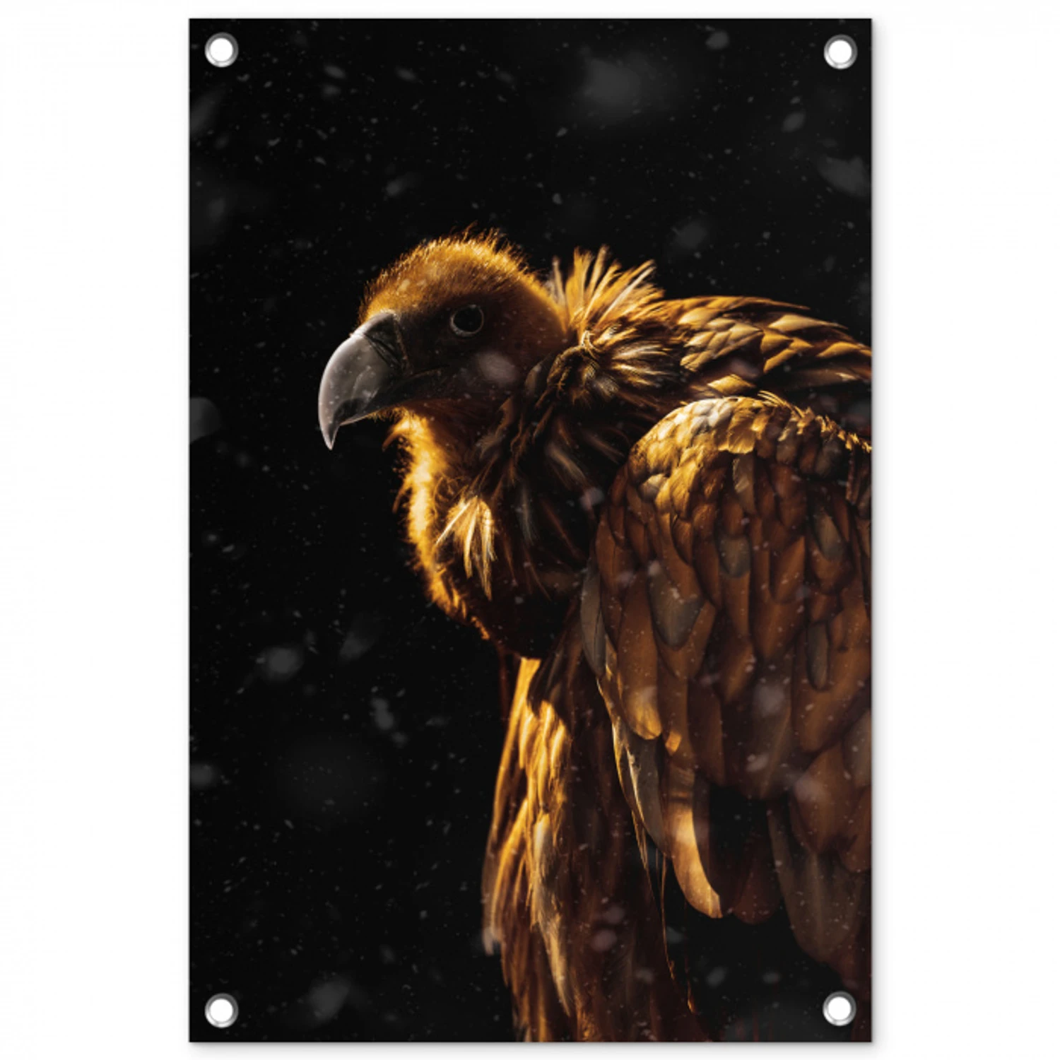 Gier - Vogel - Roofvogel tuinposter los doek klein -3d
