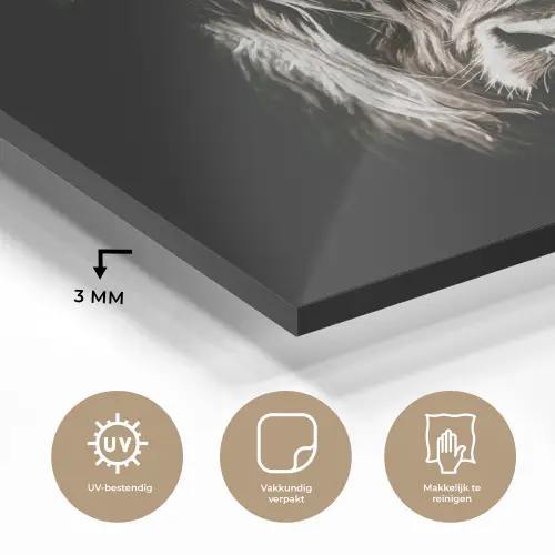 Schotse hooglander - Goud - Hoorns - Zwart wit - Koe - Dieren plexiglas 5mm klein -sfeer2