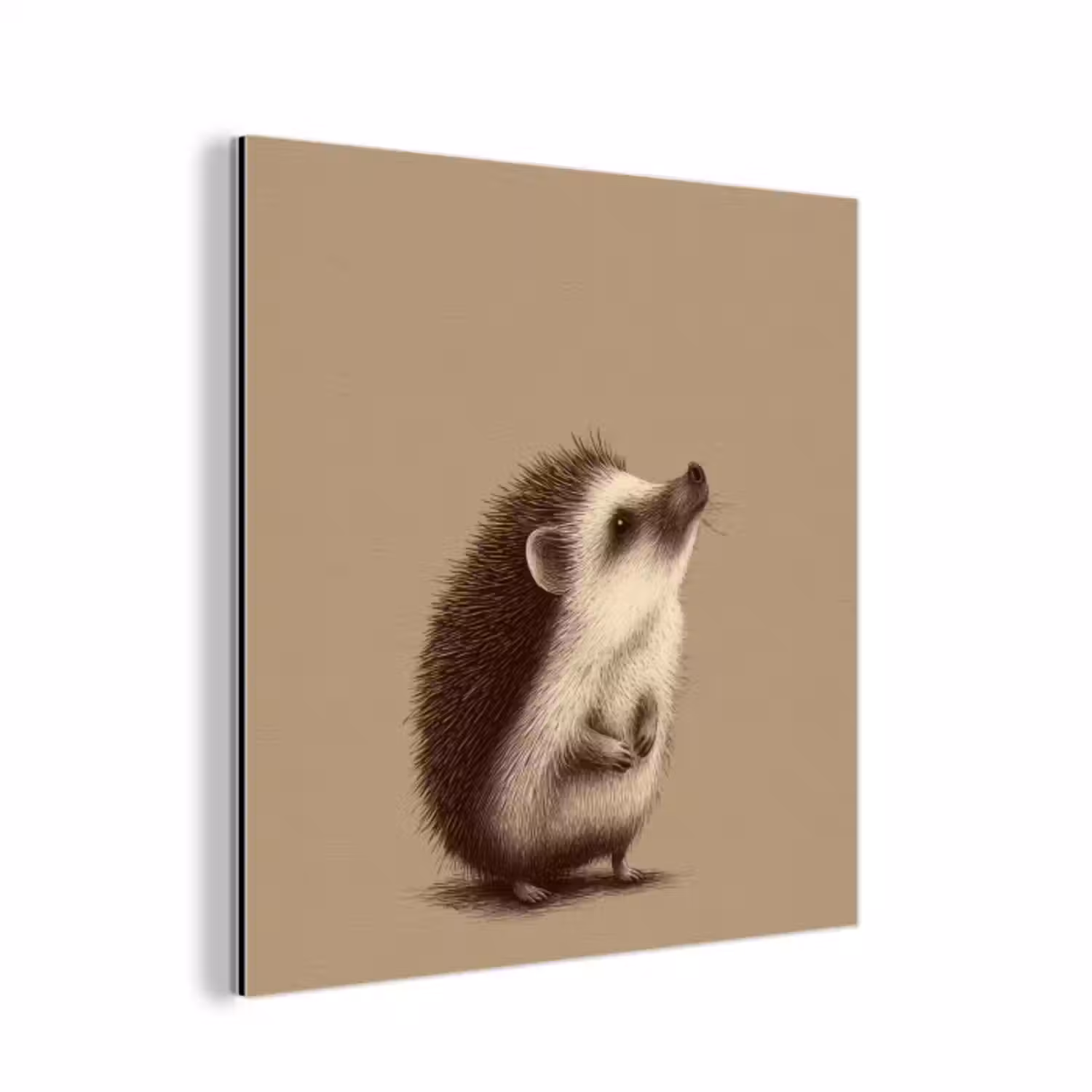 Aluminium schilderij - Egel - Snuitje - Bruin - Stekels