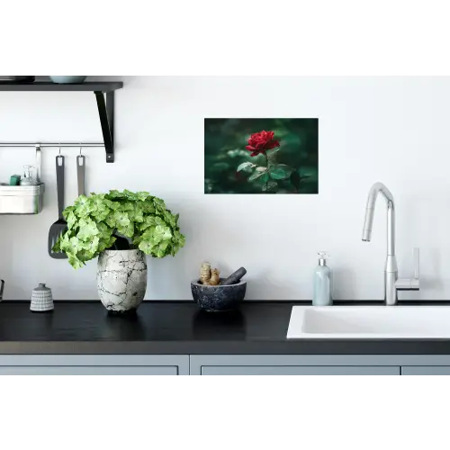 Roos - Bladeren - Dieprood Muursticker klein -keuken