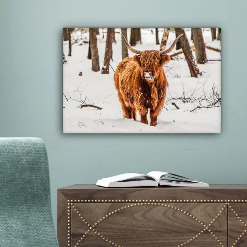 Schotse Hooglander - Sneeuw - Winter - Natuur - Dieren canvas 2cm klein -sfeer4