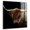 Schotse Hooglander - Horens - Zwart - Dieren - Natuur - Wild - Koe plexiglas 5mm klein -zzzproduct_nieuw