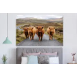 Schotse Hooglanders - Weg - Landschap - Kudde forex 5mm xxl -slaapkamer