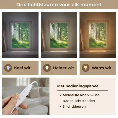 Natuur - Bomen - Bos - Groen - Zon - Gras - Planten Light Box met kabel (Tafellamp) klein -USP_lichtkleurNL
