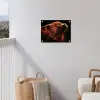 Schotse hooglander - Koe - Hoorns - Portret - Dieren tuinposter los doek klein -sfeer8