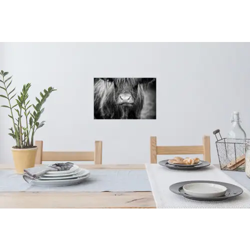 Schotse hooglander - Koe - Zwart - Wit - Dieren Muursticker klein -eettafel