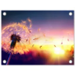 Paardenbloem - Bloemen - Zonsondergang - Horizon - Nacht tuinposter los doek klein -3d