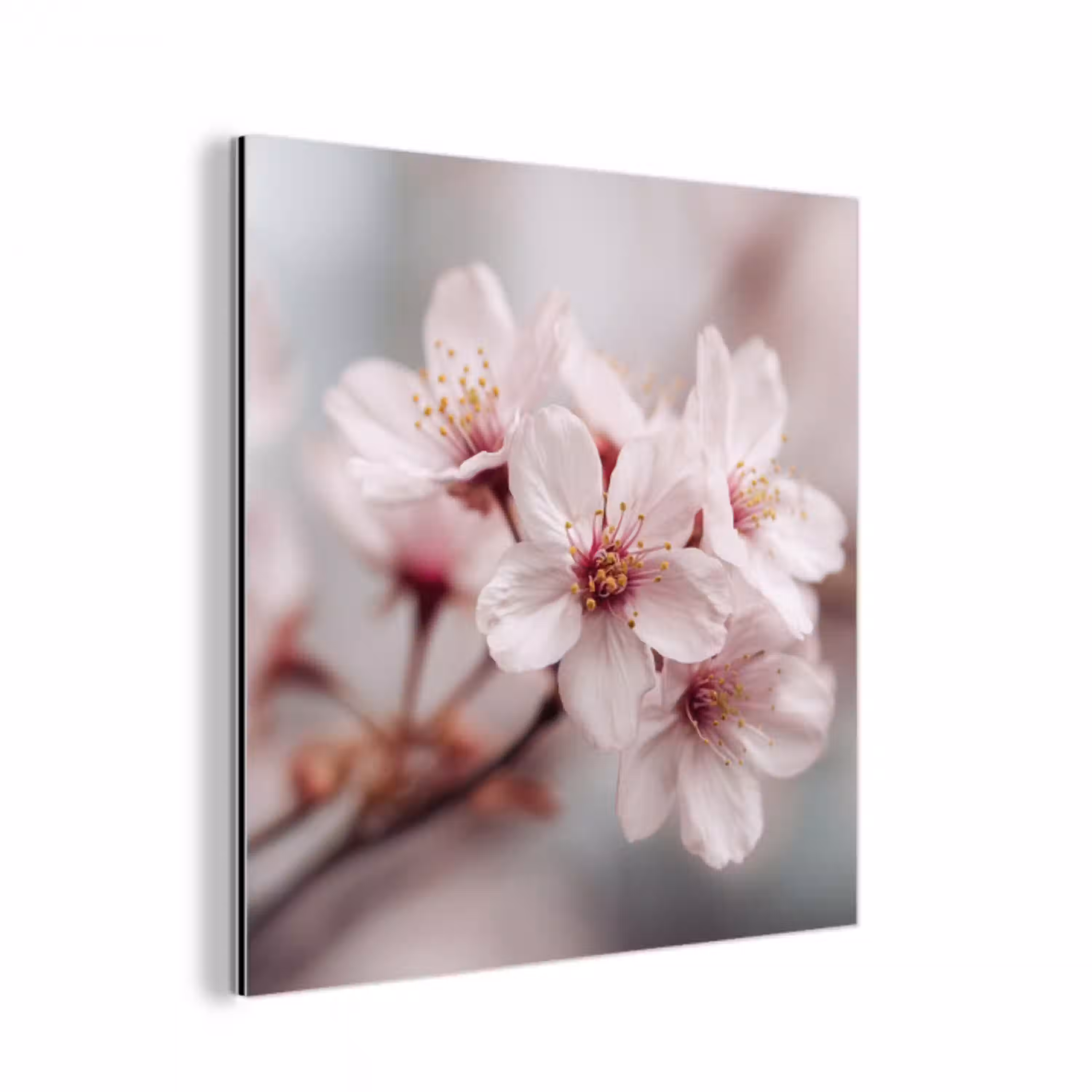 Bloesems - Meeldraden - Geel - Wazig aluminium wit klein -3d