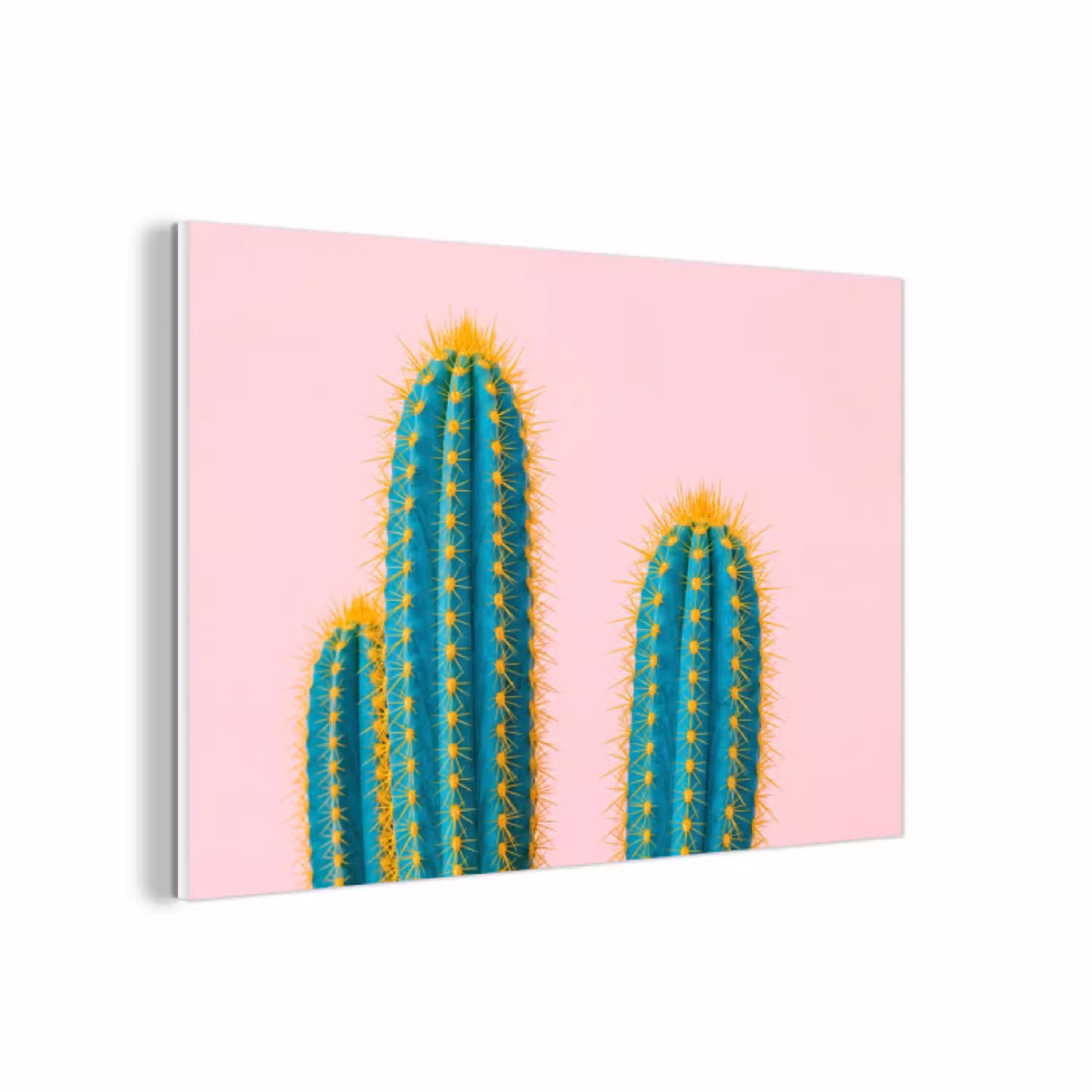 Cactussen - Modern - Pastel forex 5mm xxl -3d