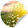 Bloemen - Madelief - Natuur - Zon - Horizon Wandcirkel behangsticker klein -3d