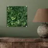 Groen - Bladeren - Kartel - Zonlicht plexiglas 5mm klein -sfeer3
