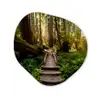 Jungle - Natuur - Trap - Bomen Wandcirkel Organisch Forex 3mm klein -3d