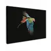 Papegaai - Kleurrijk - Vleugels - Sierlijk Tuinposter op houten frame 2 cm dik klein -3d